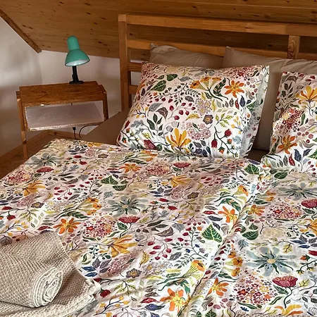 Dom wakacyjny U Danci Obory Hvozd